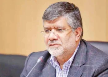 رئیس سازمان توسعه تجارت گفت: سامانه ثبت سفارش واردات خودرو بر اساس ضوابط و شرایط مصوبه دولت فعال می&zwnj;شود.