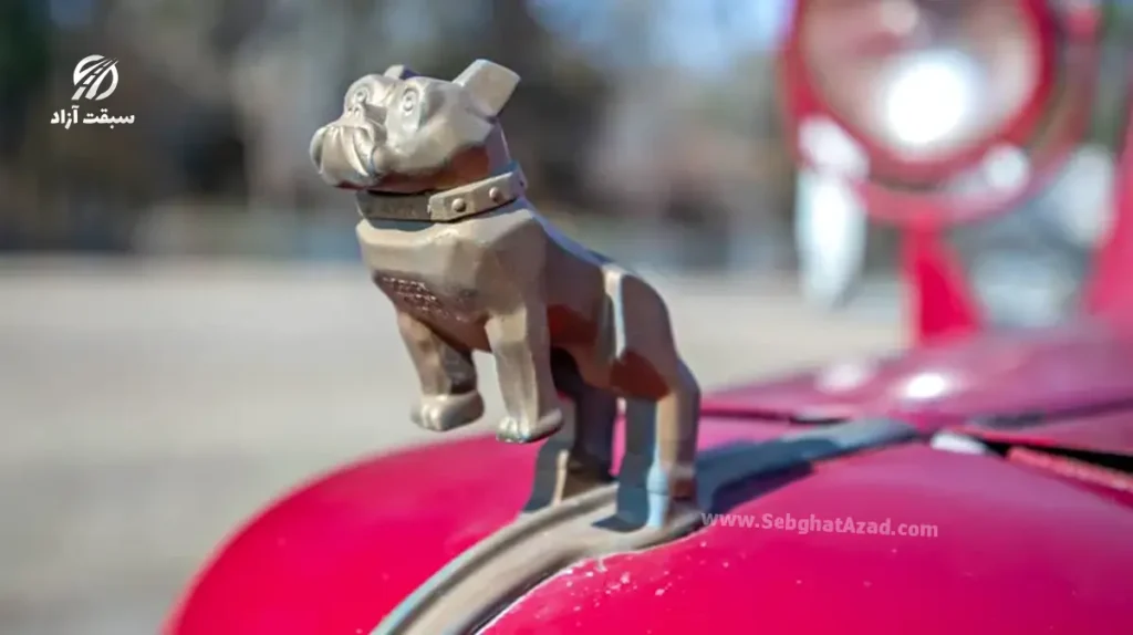 لوگو روی کاپوت ماک