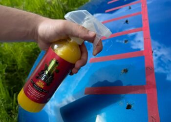 مقایسه کاربردی محلول‌ پاک کننده حشرات و فضولات؛ بهترین محلول برای پاک‌کردن فضولات پرندگان از خودرو