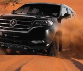 دایون Y5